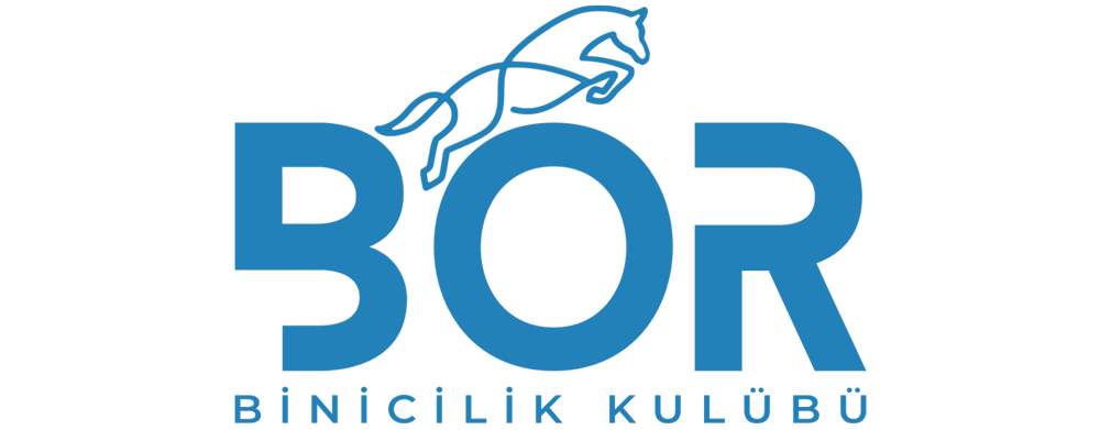 Bor Binicilik
